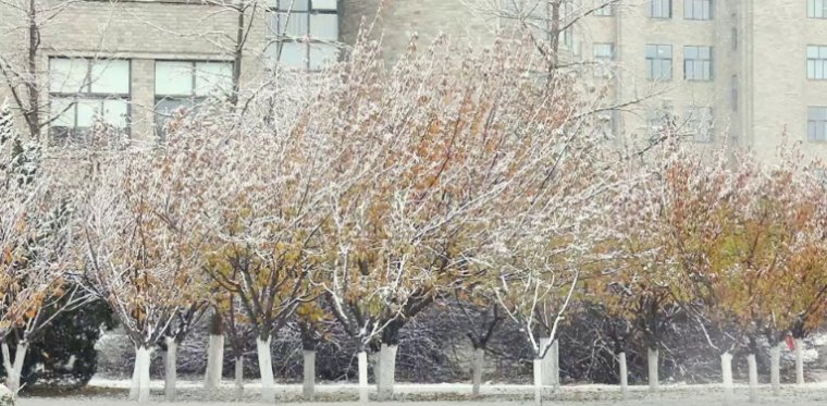 1701741133246685.png 微信截图_20231205095042.png