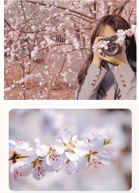 1649663368(1).png 1649663368(1).png